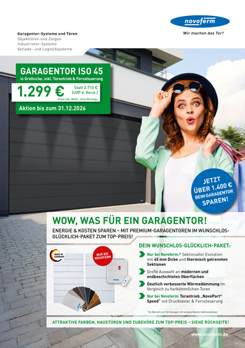 Aktion Sektionaltor ISO 45