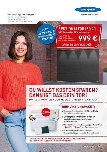 Aktion Sektionaltor ISO 20