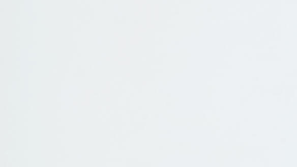 Novoferm Sektionaltor Oberfläche Noblesse (glatt)